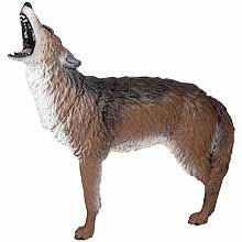 HOWLING-COYOTE